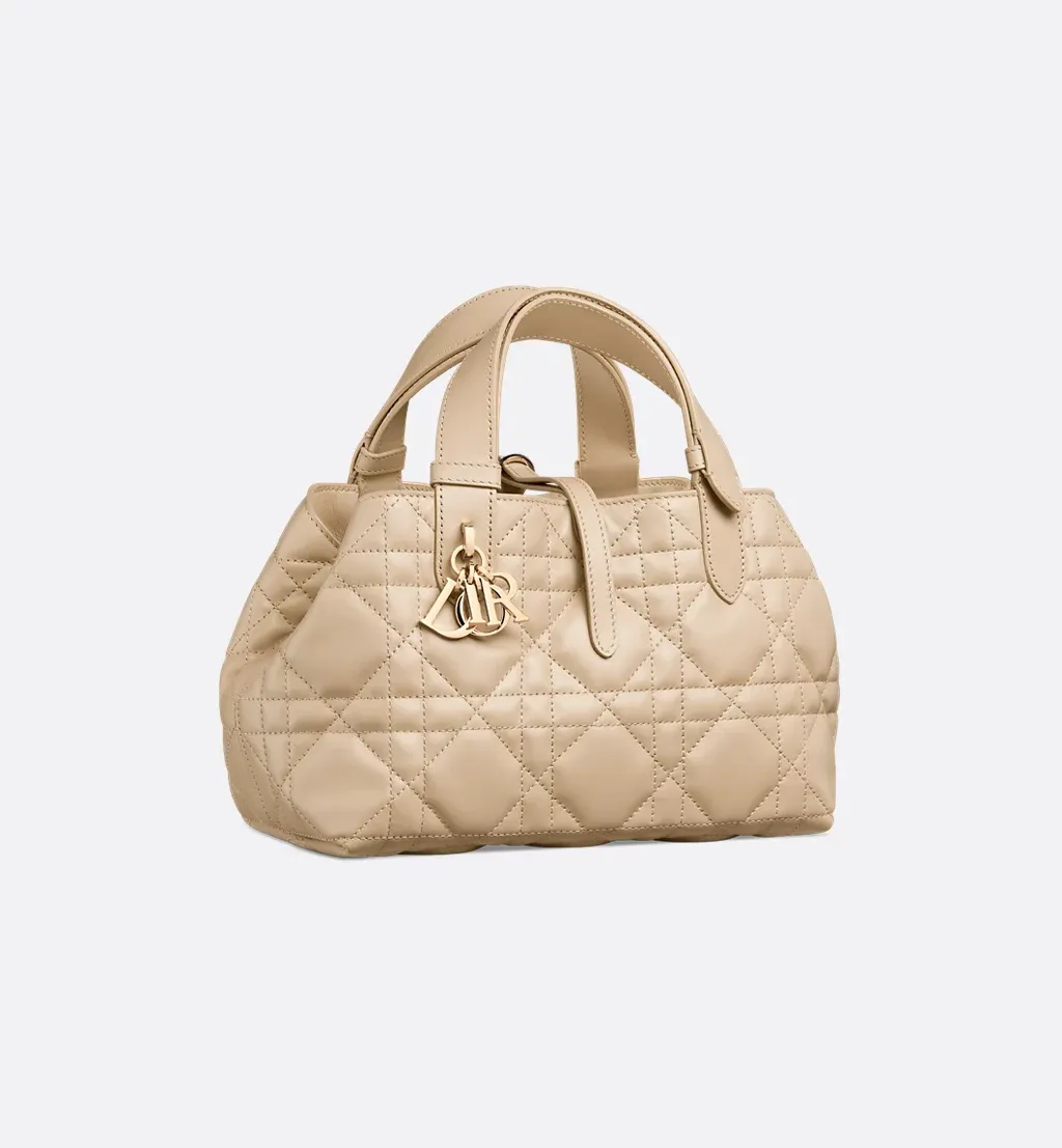 Small Dior Toujours Bag