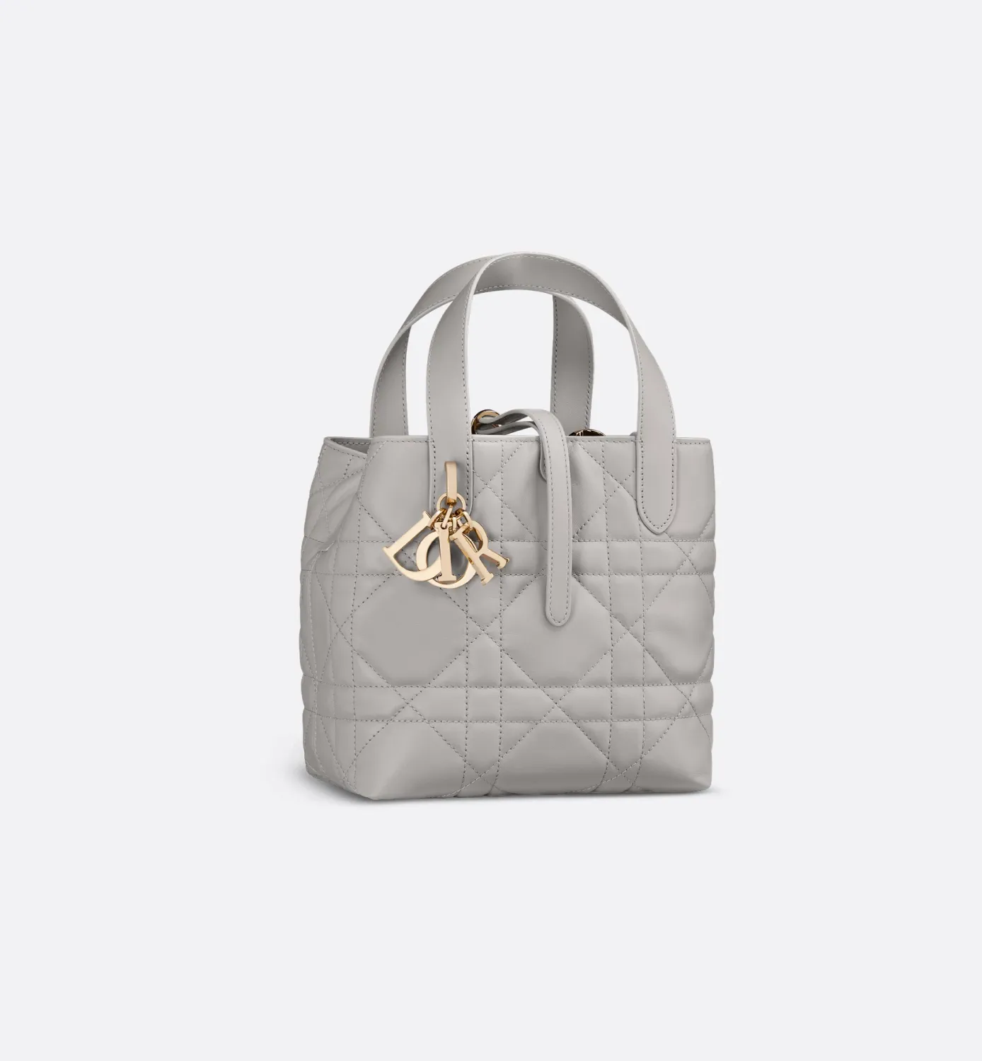 Small Dior Toujours Vertical Tote Bag
