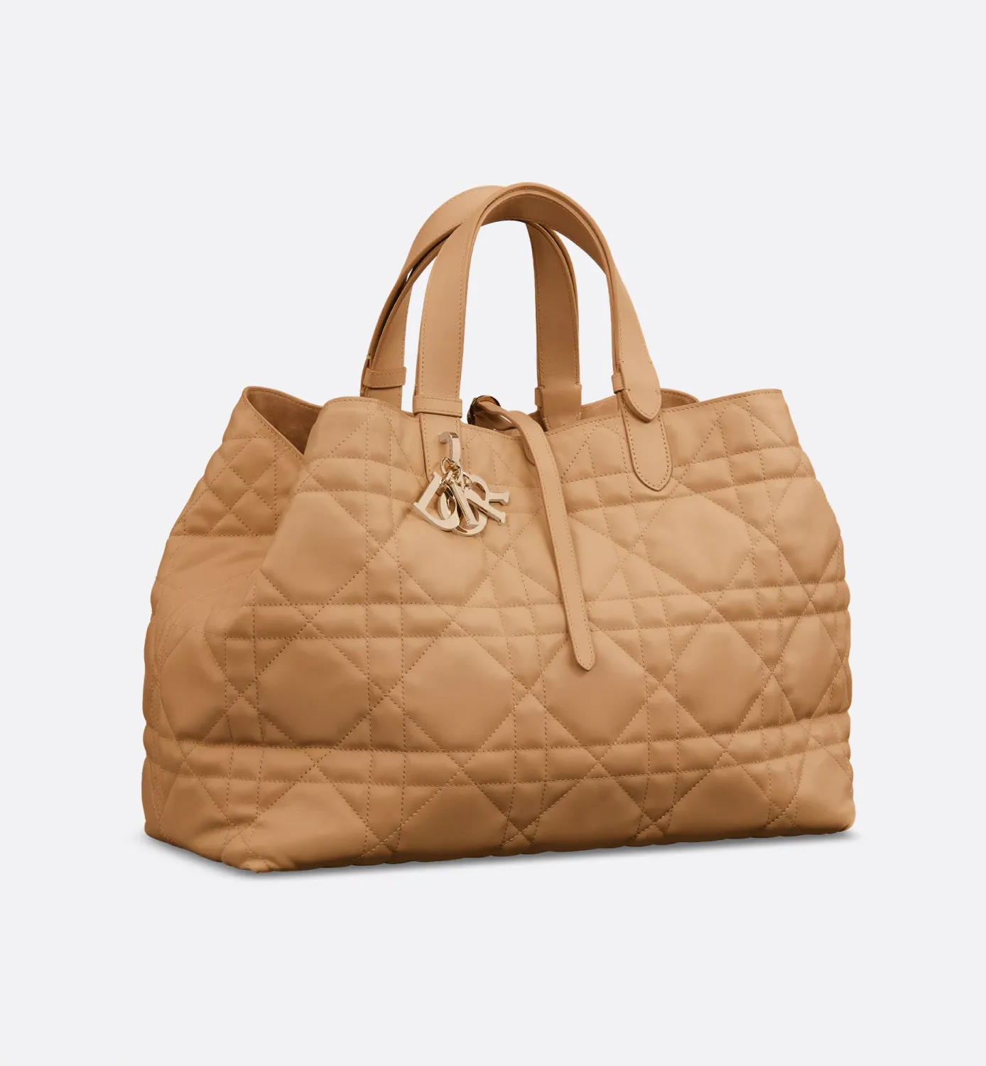 Large Dior Toujours Bag