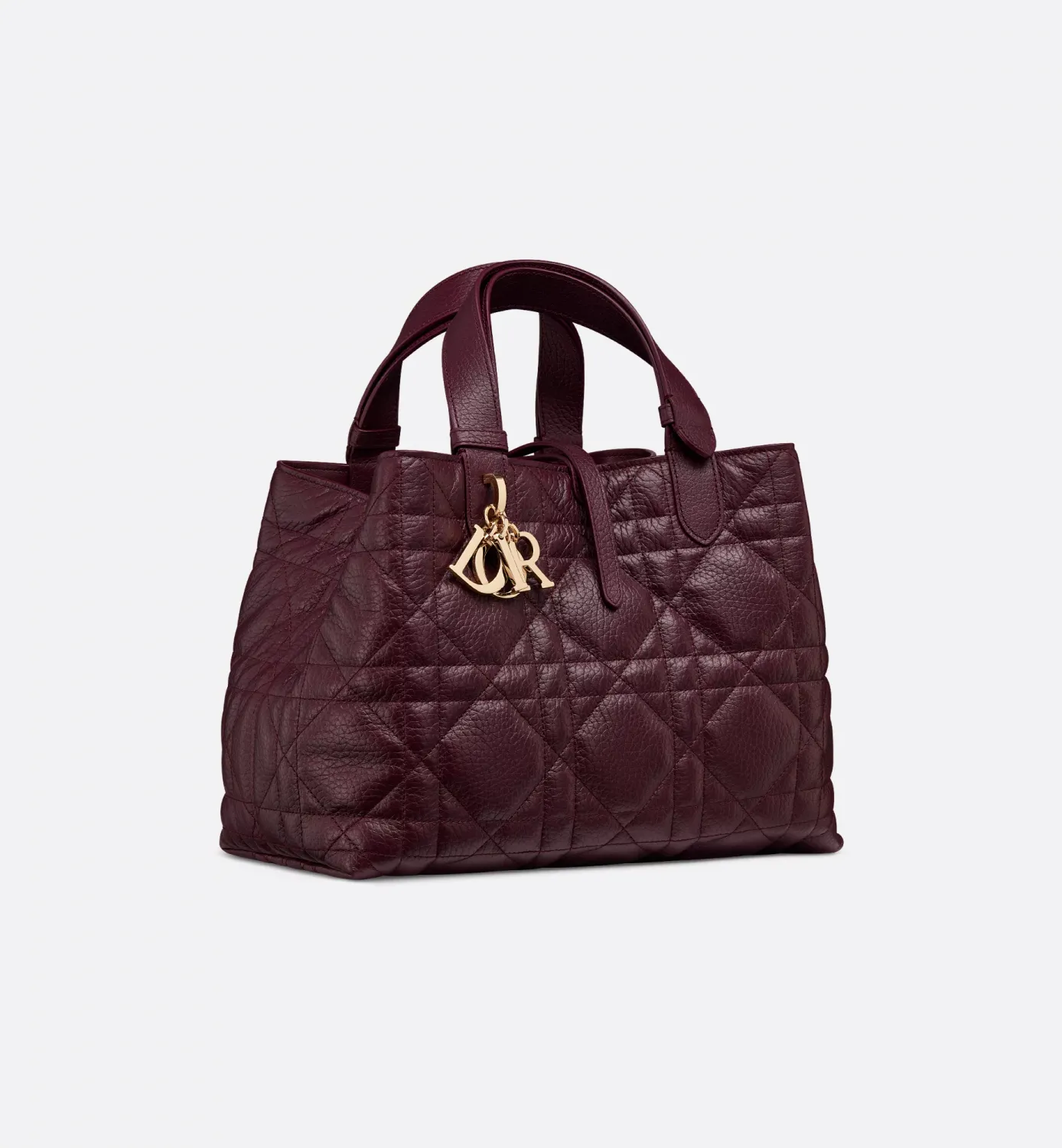 Medium Dior Toujours Bag