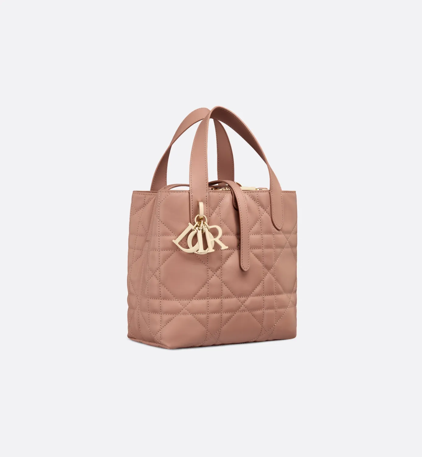 Small Dior Toujours Vertical Tote Bag