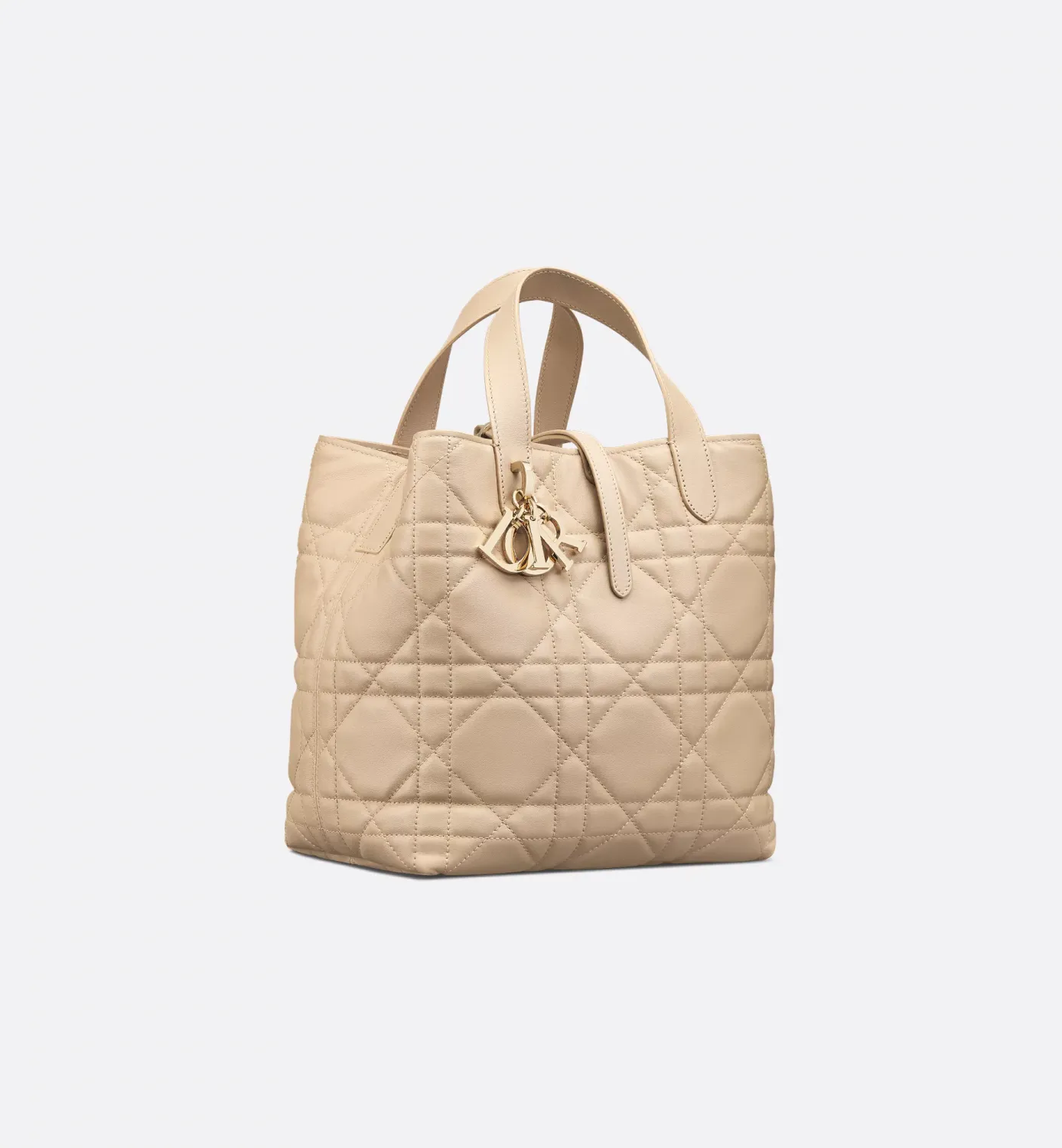 Medium Dior Toujours Vertical Tote Bag