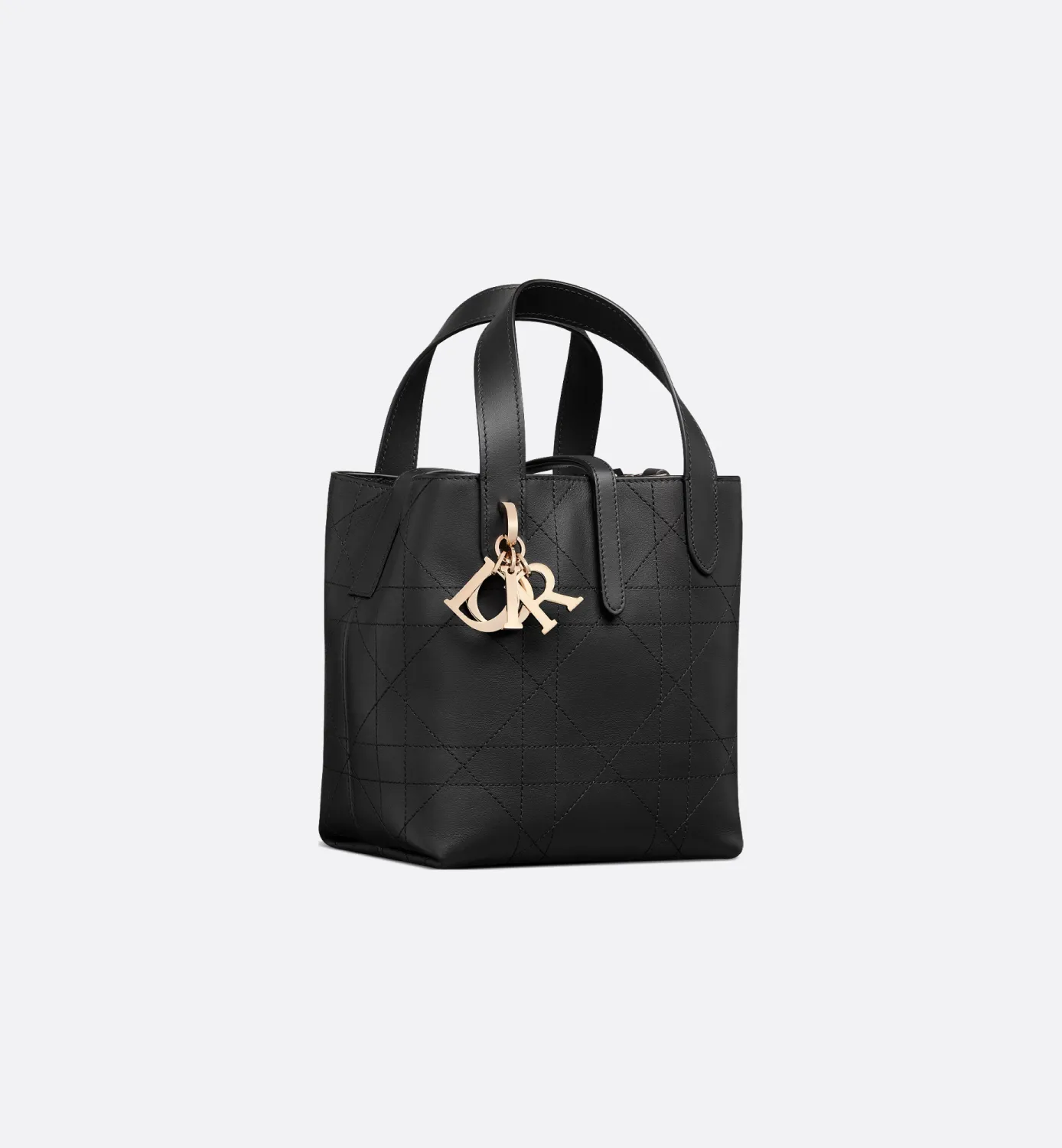 Small Dior Toujours Vertical Tote Bag