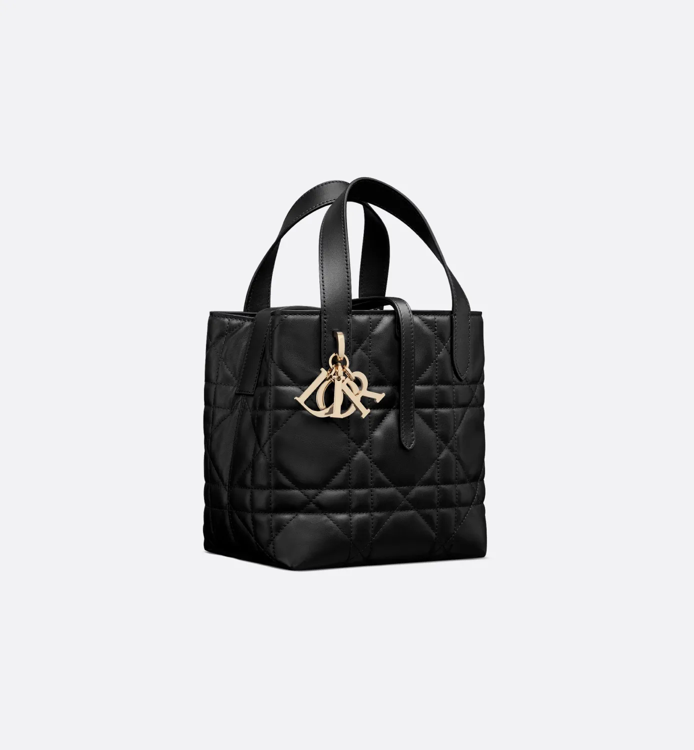 Small Dior Toujours Vertical Tote Bag