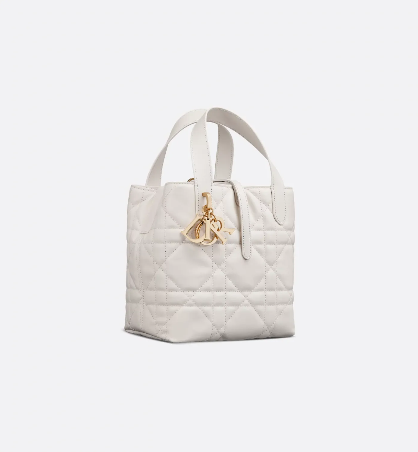 Small Dior Toujours Vertical Tote Bag