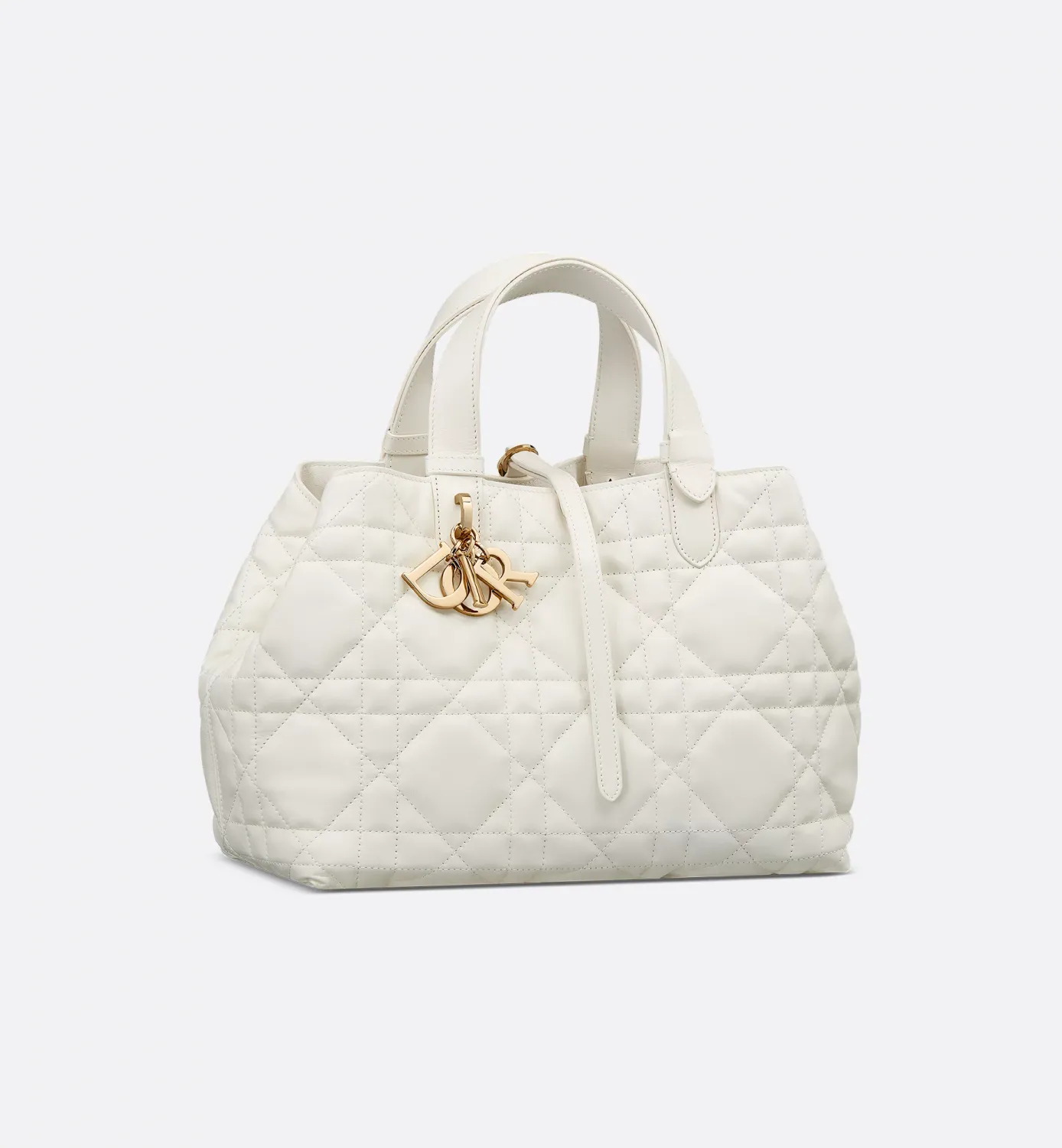 Medium Dior Toujours Bag