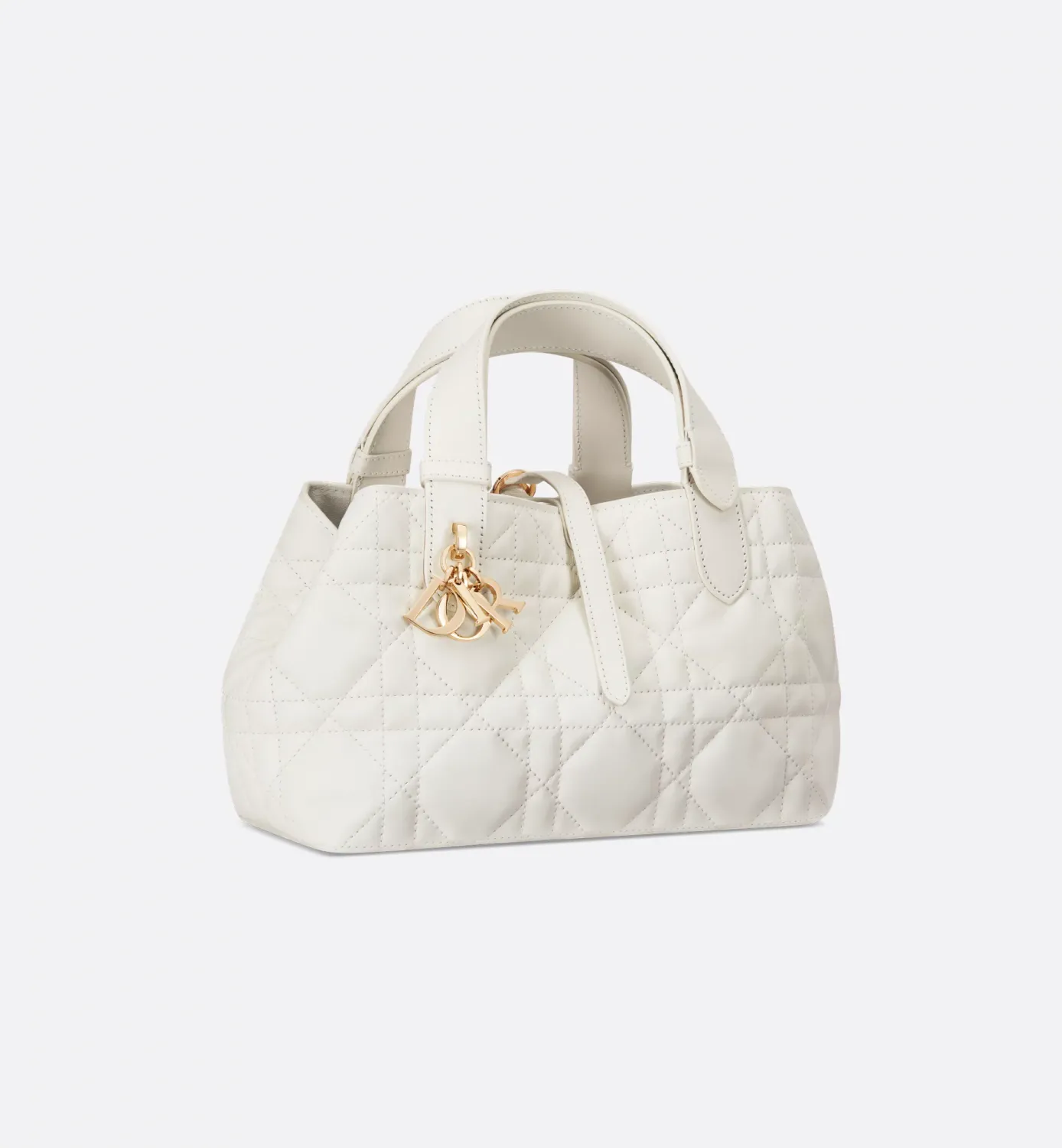 Small Dior Toujours Bag