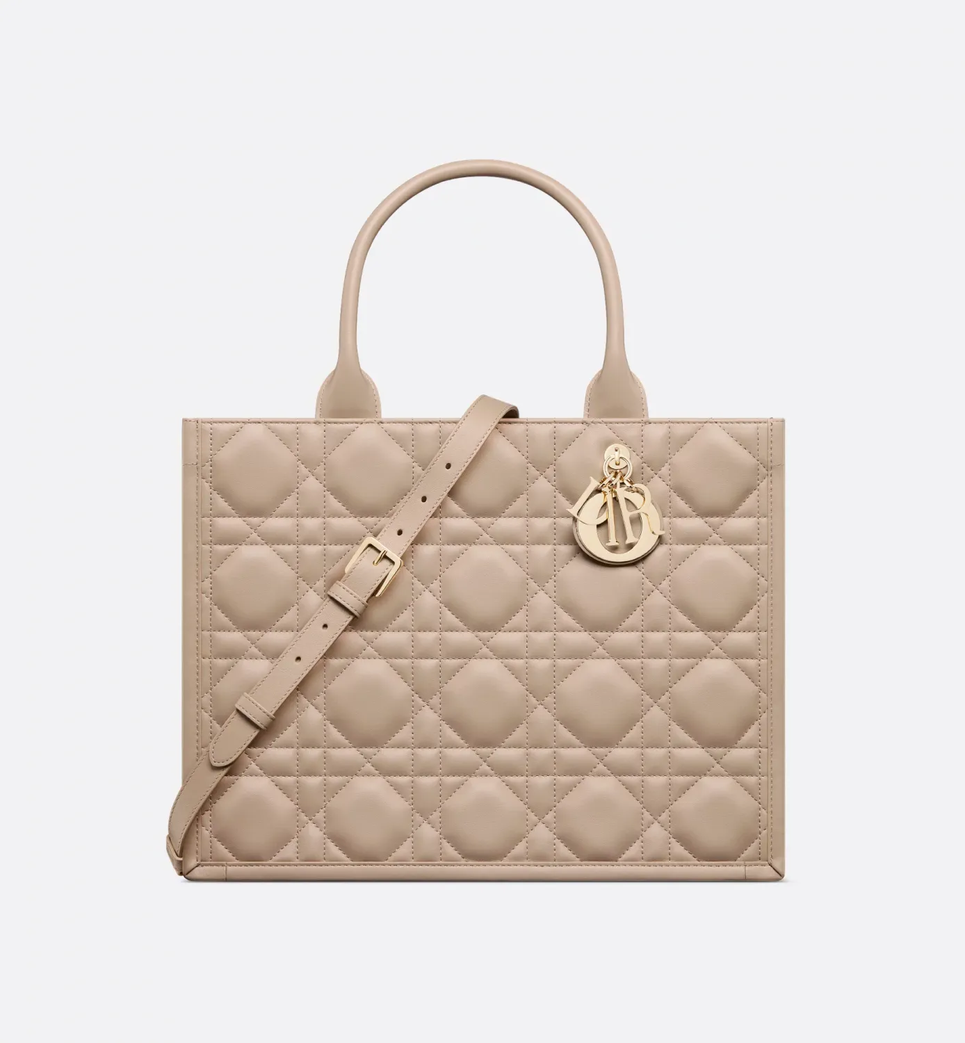 Medium Dior Book Tote