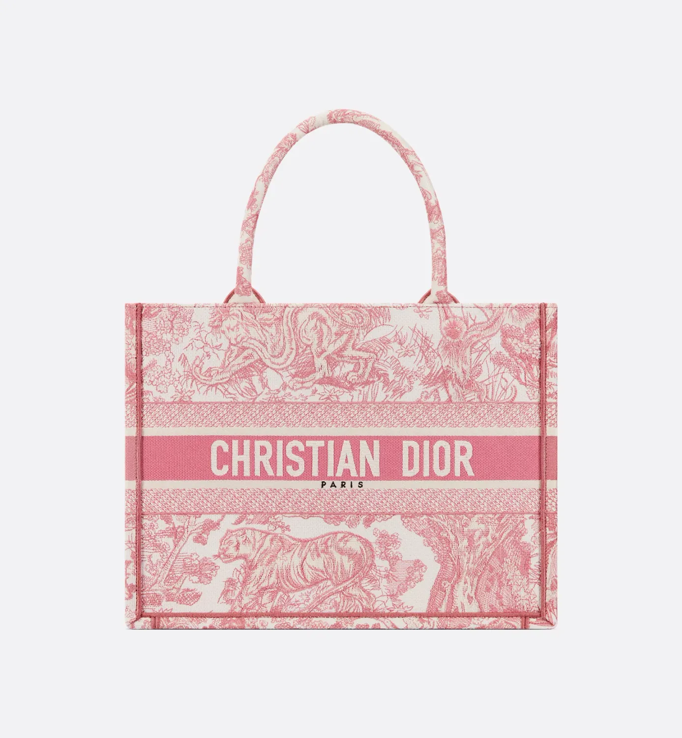 Medium Dior Book Tote