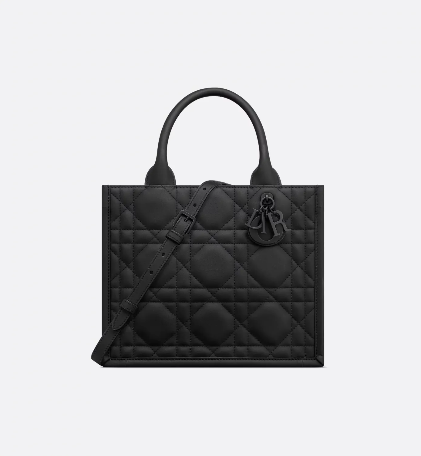 Small Dior Book Tote