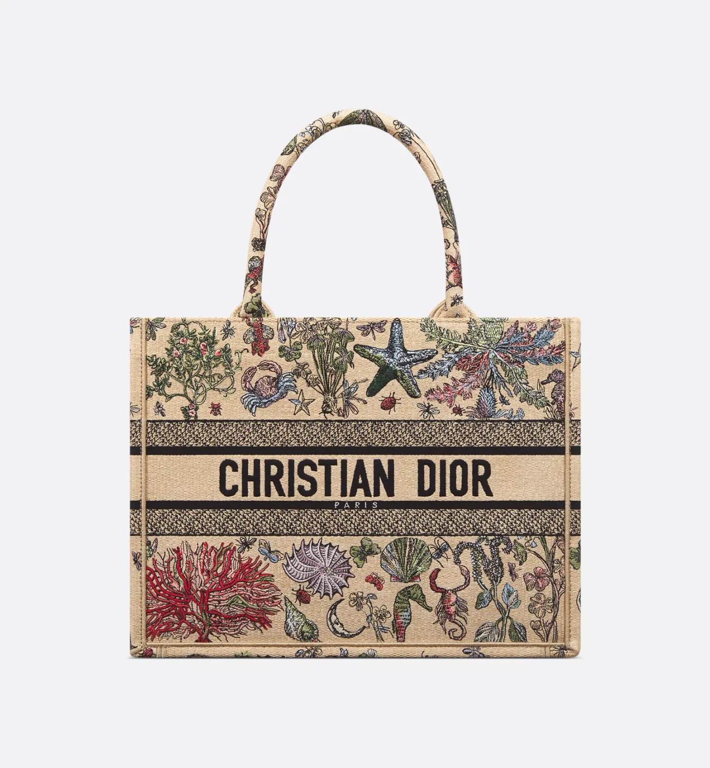 Medium Dior Book Tote