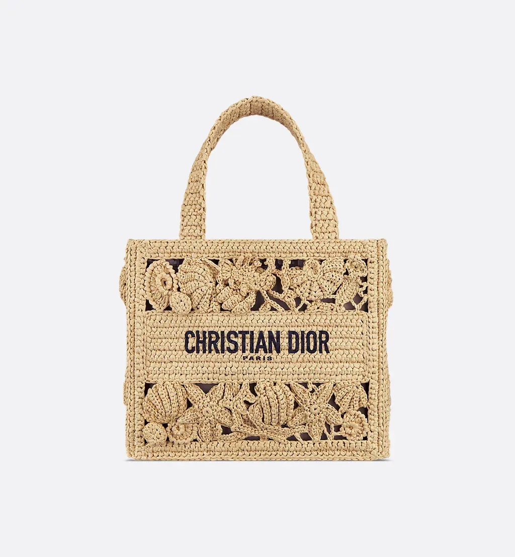 Small Dior Book Tote