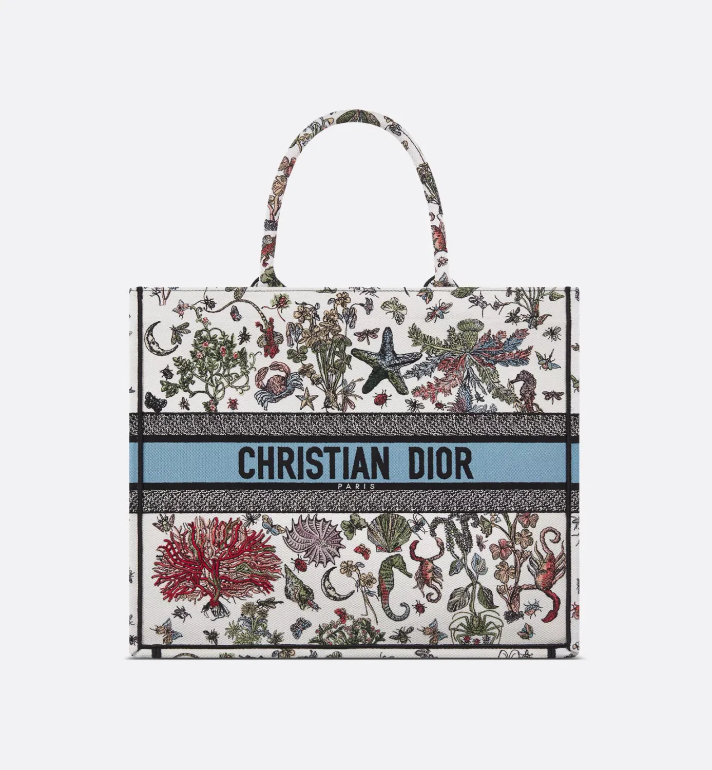 Large Dior Book Tote