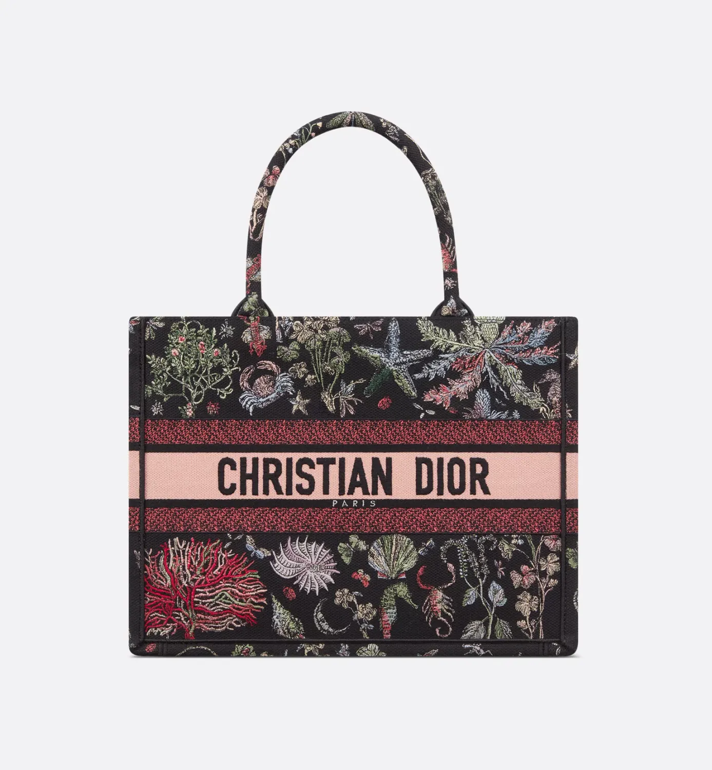 Medium Dior Book Tote