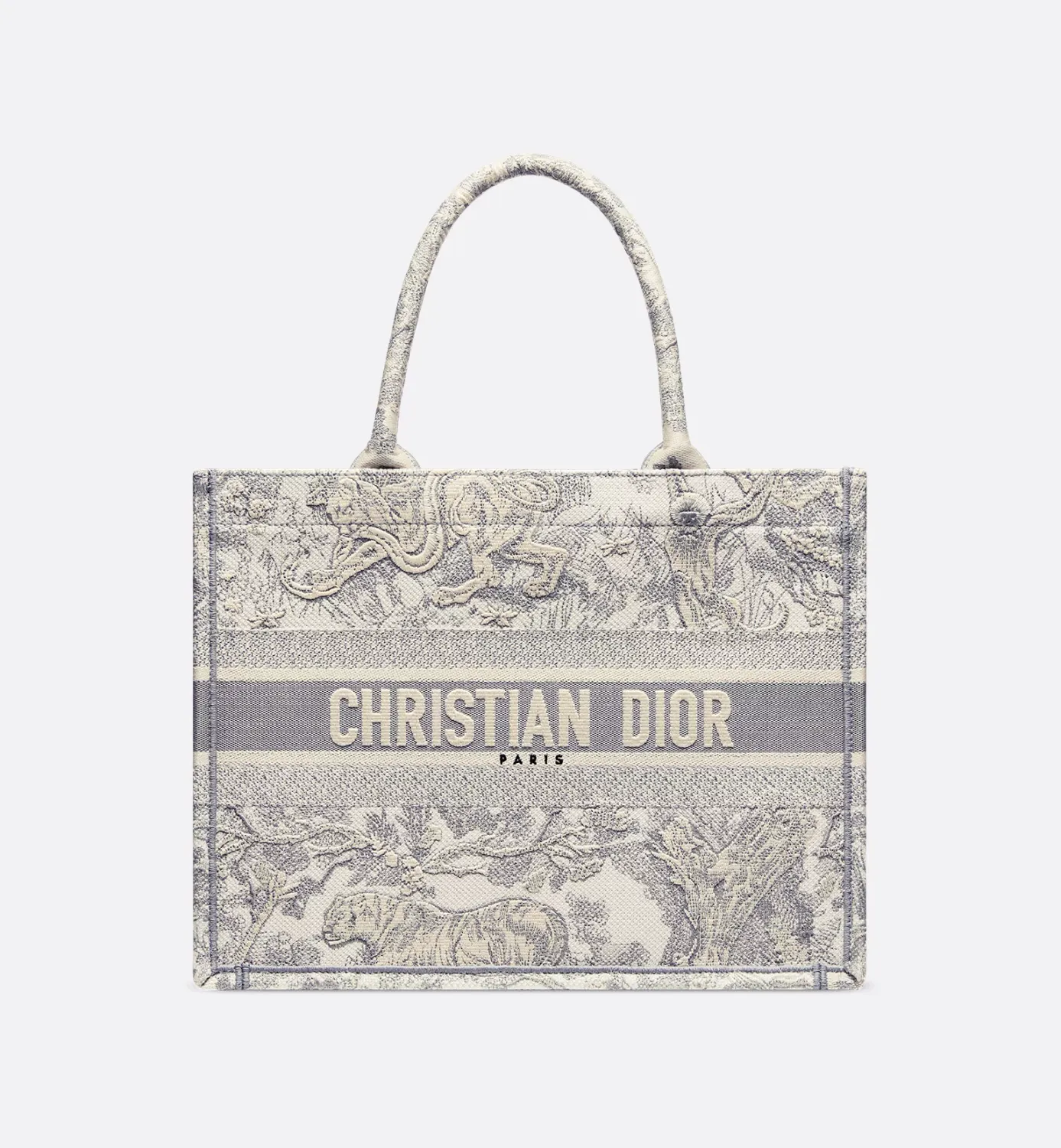 Medium Dior Book Tote
