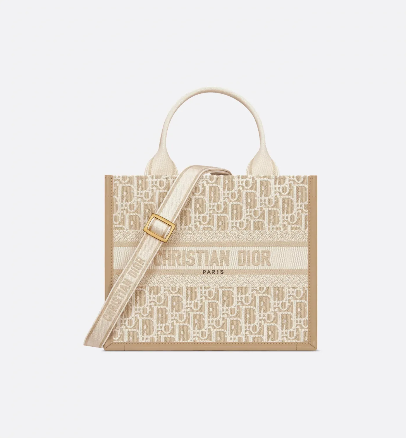 Small Dior Book Tote