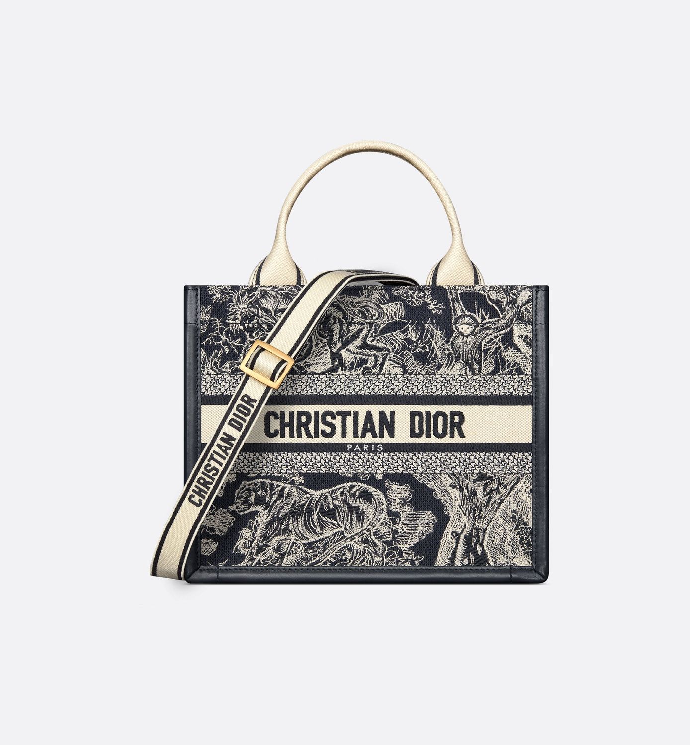 Small Dior Book Tote