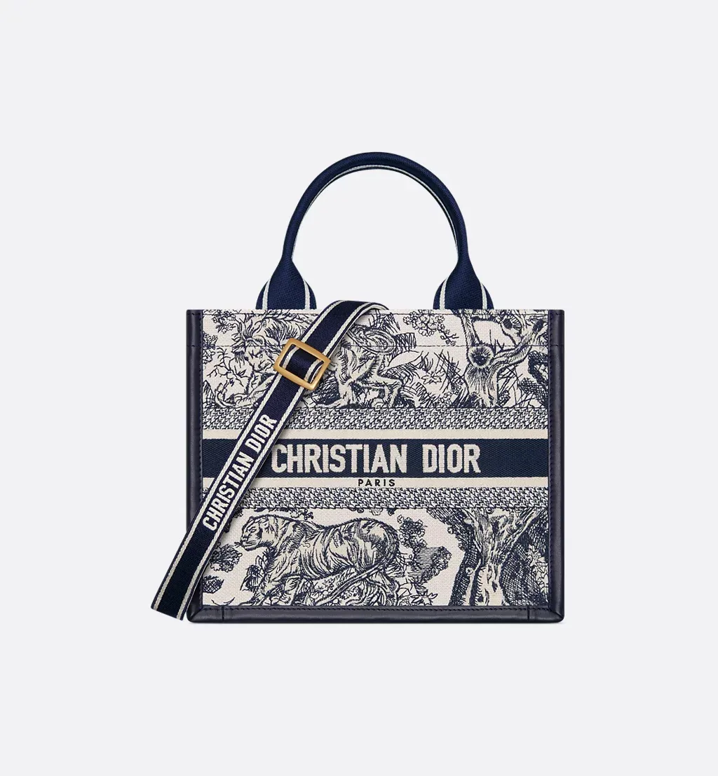 Small Dior Book Tote