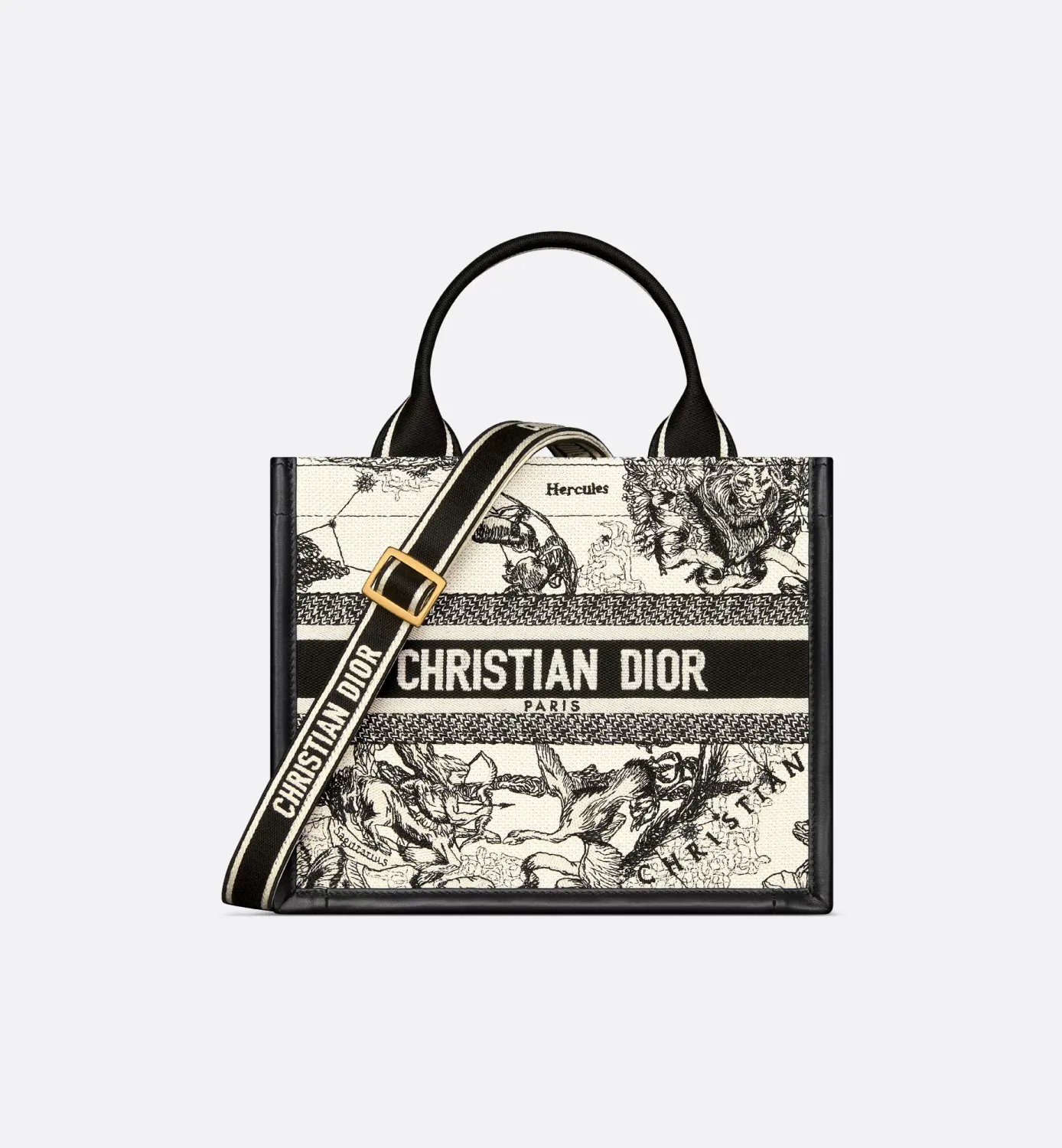 Small Dior Book Tote