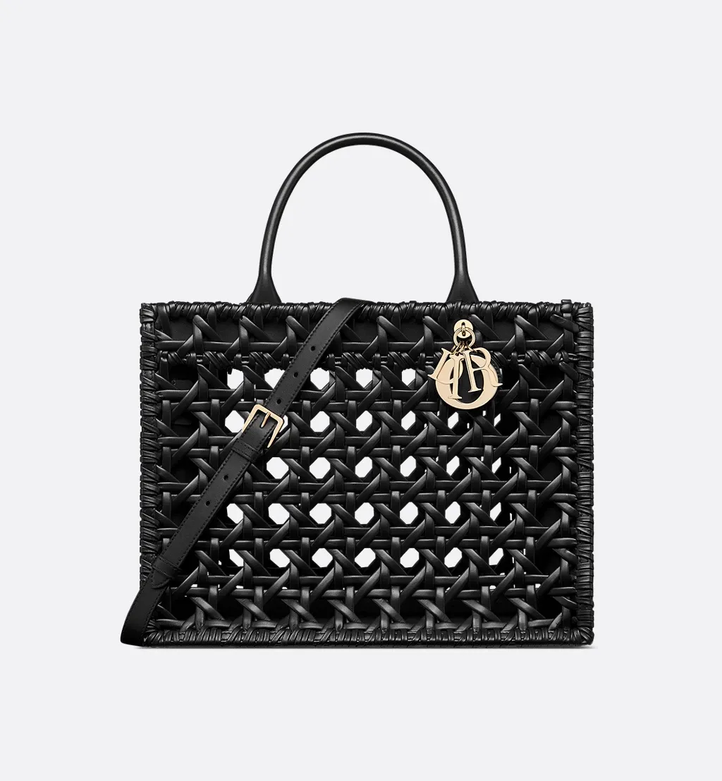 Medium Dior Book Tote