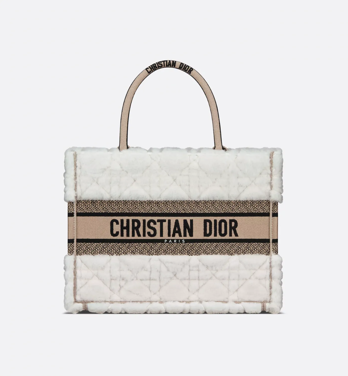 Medium Dior Book Tote