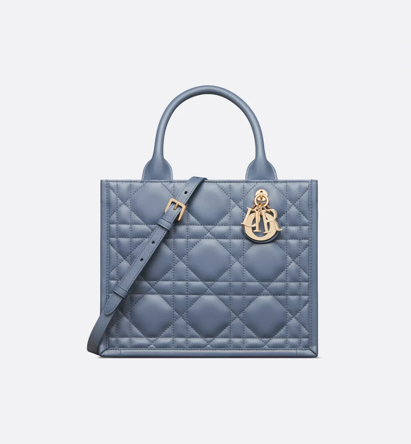 Small Dior Book Tote