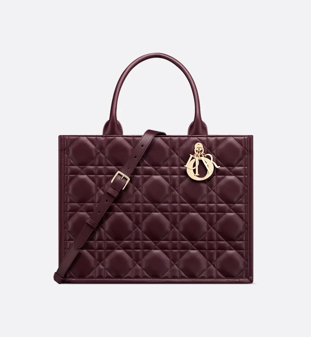 Medium Dior Book Tote
