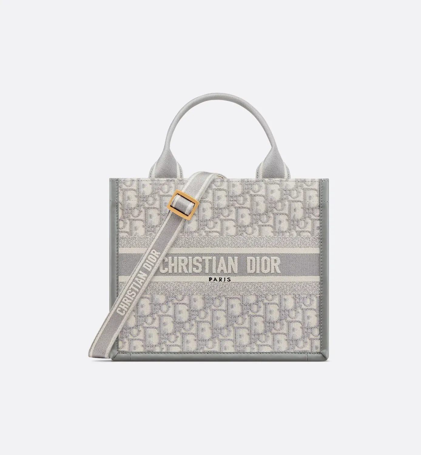 Small Dior Book Tote