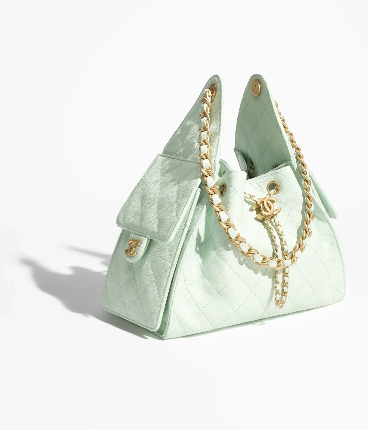 CHANEL 25 Small Bag