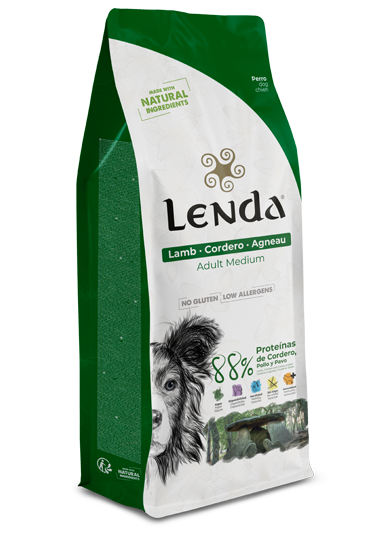 Lenda Adult Lamb 6Kg