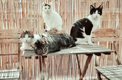 Premios con Corazón & Bienestar Natural