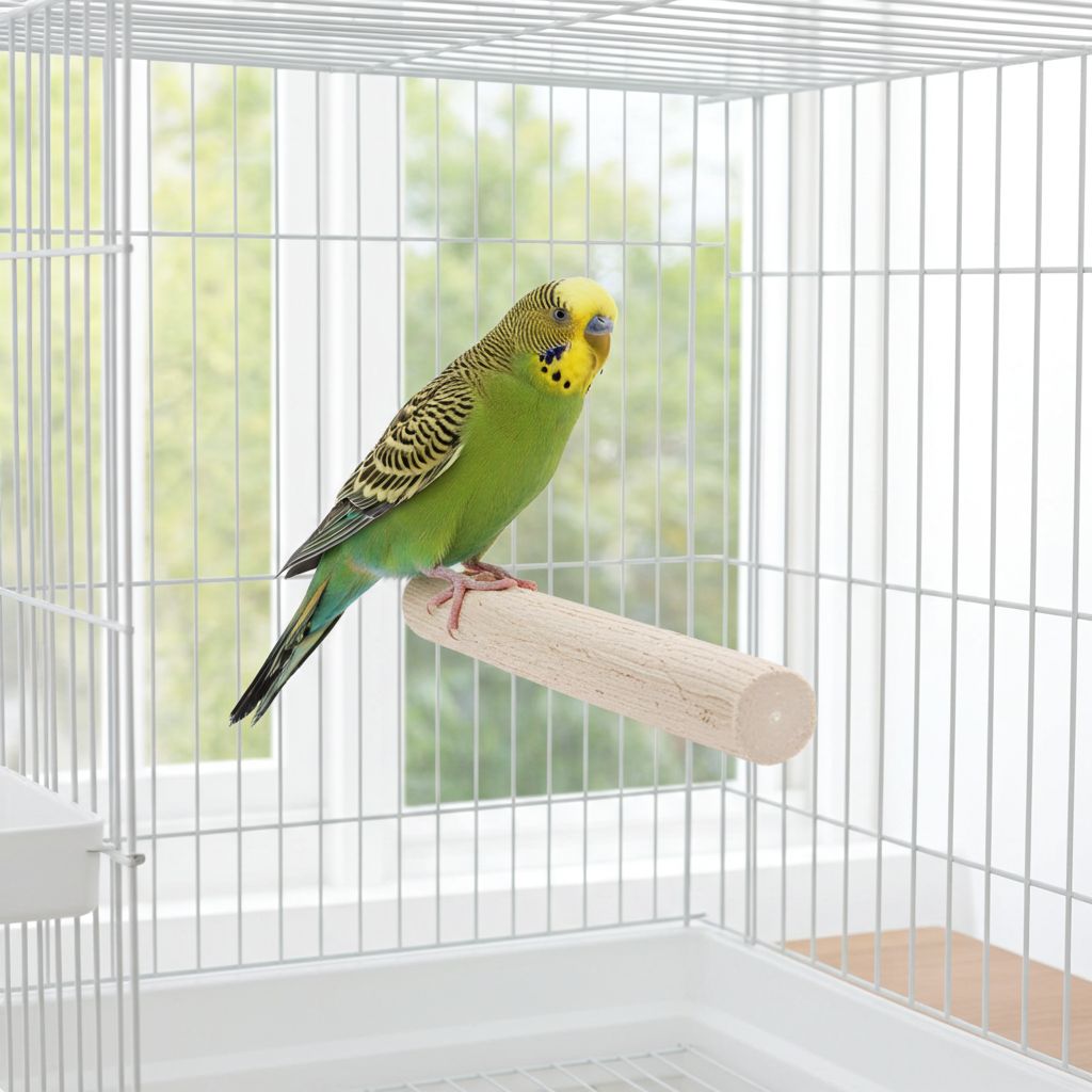 DUVO PERCHA PEDICURA CALCIO