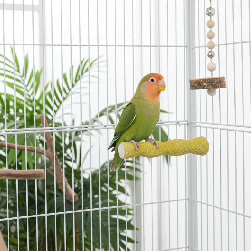 DUVO PERCHA PEDICURA CEMENTO ( T-XS 12 x 3 x3 cm )