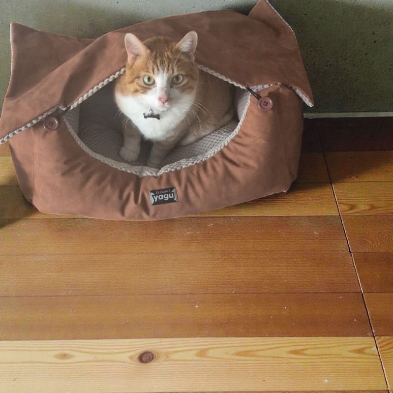 YAGU CUNA COVER MOCA (T-1 50 x 38 x 18 CM) YAGU CUNA COVER MOCA (T-1 50 x 38 x 18 CM)