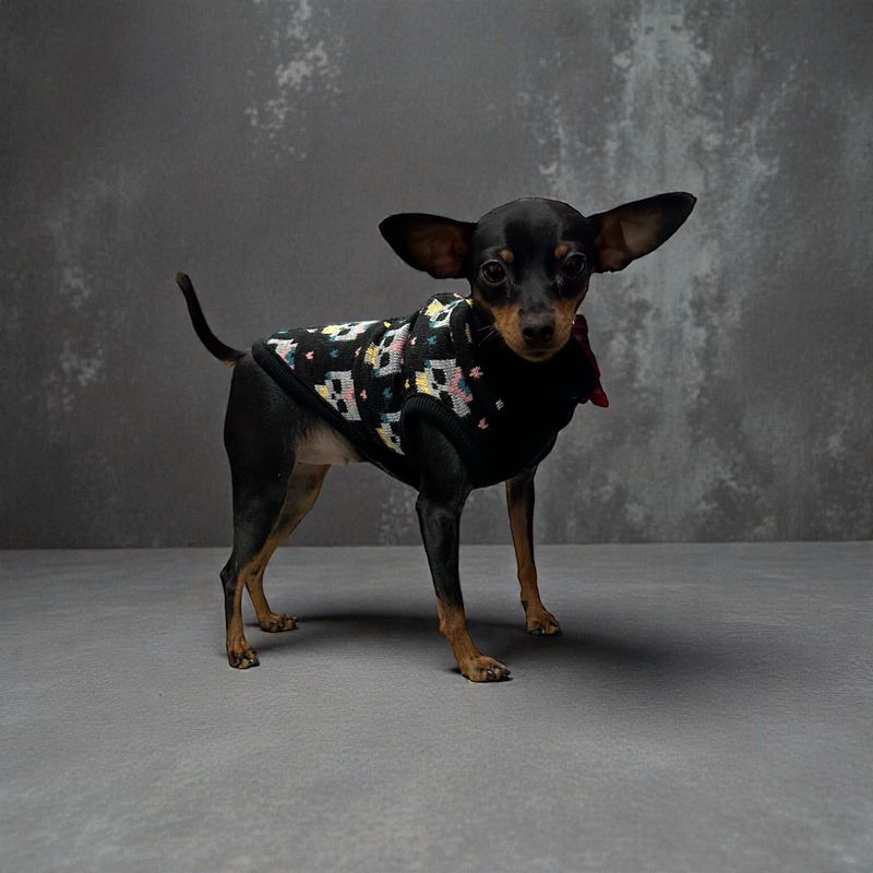 MI&DOG JERSEY PUNTO ESTAMPADO SKULLS(T.30)