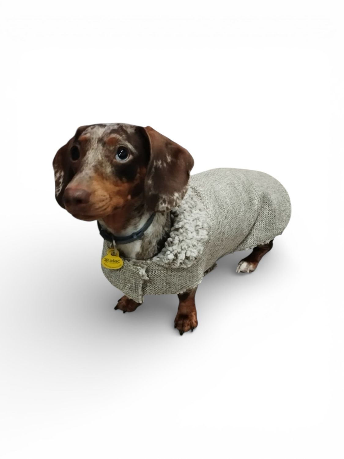 Abrigo cruzado Turron t-40