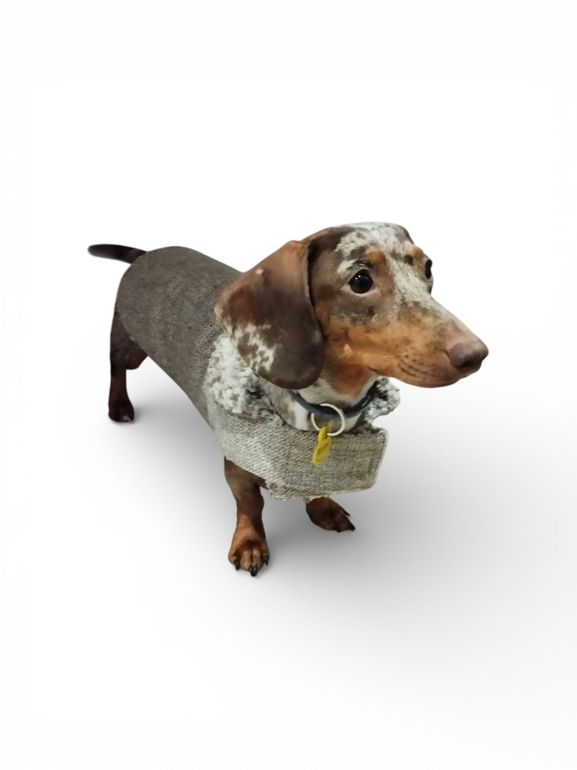 Abrigo cruzado Turron  T-35