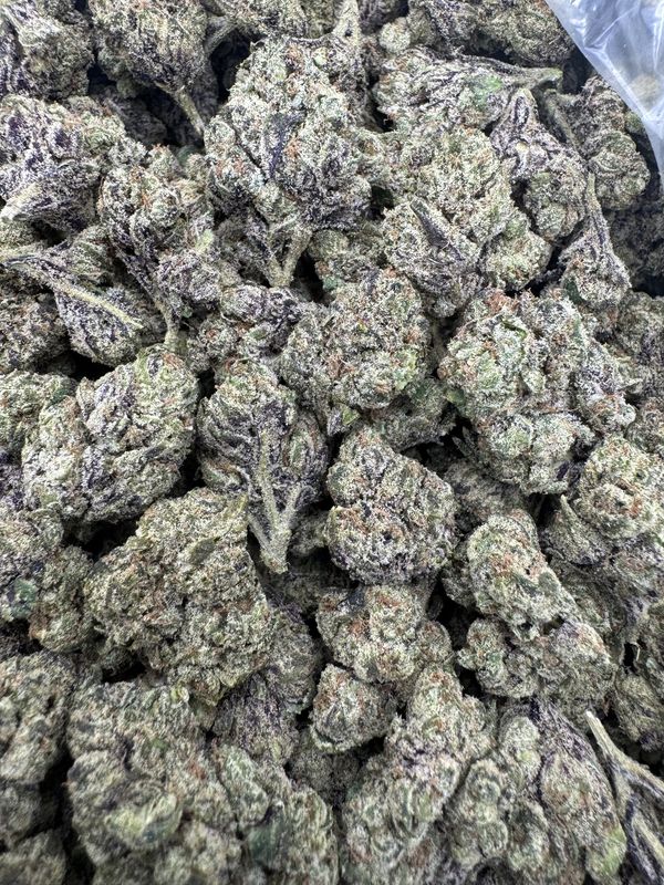 Gelato 33