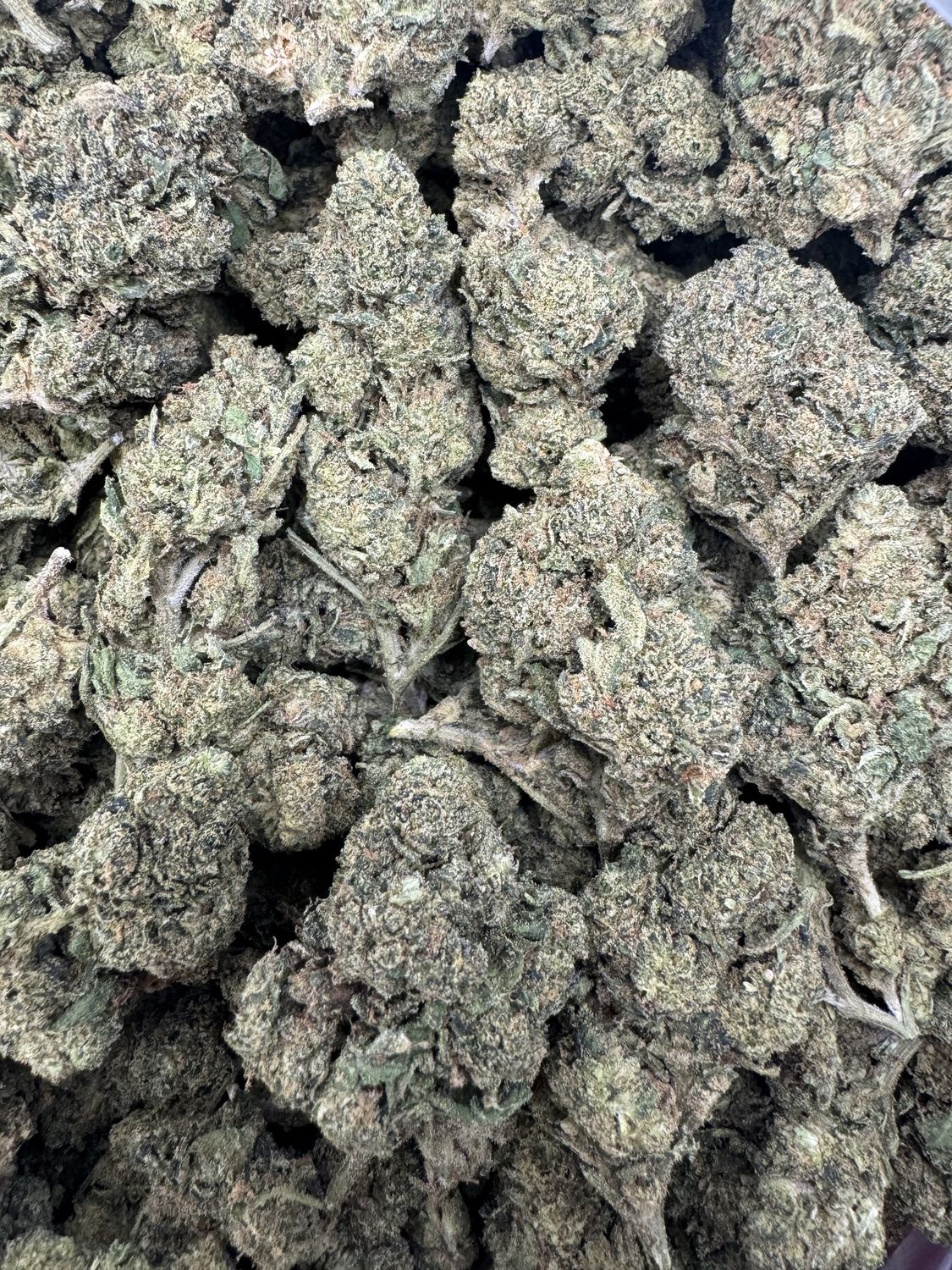 Sherb Cream Pie