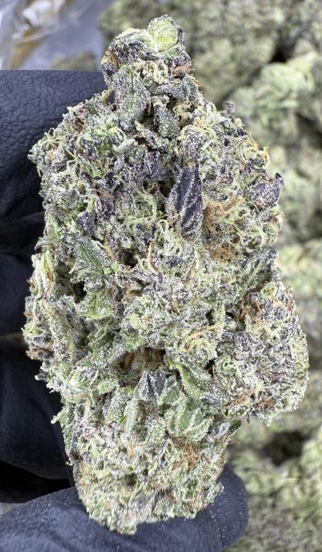 Gushers