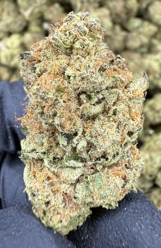 Purple Punch
