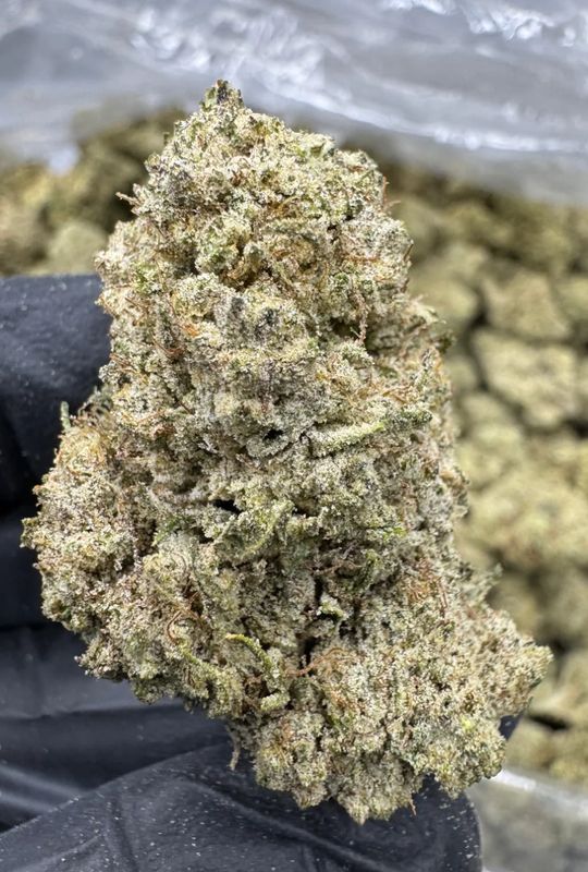 Green Crack