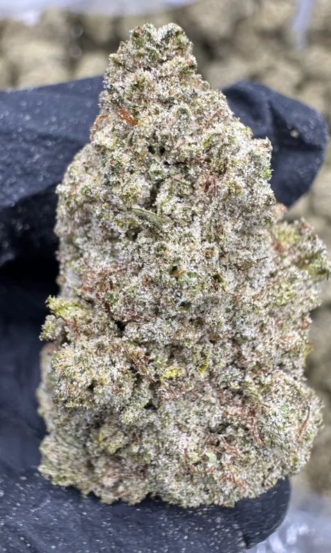 Blue Dream