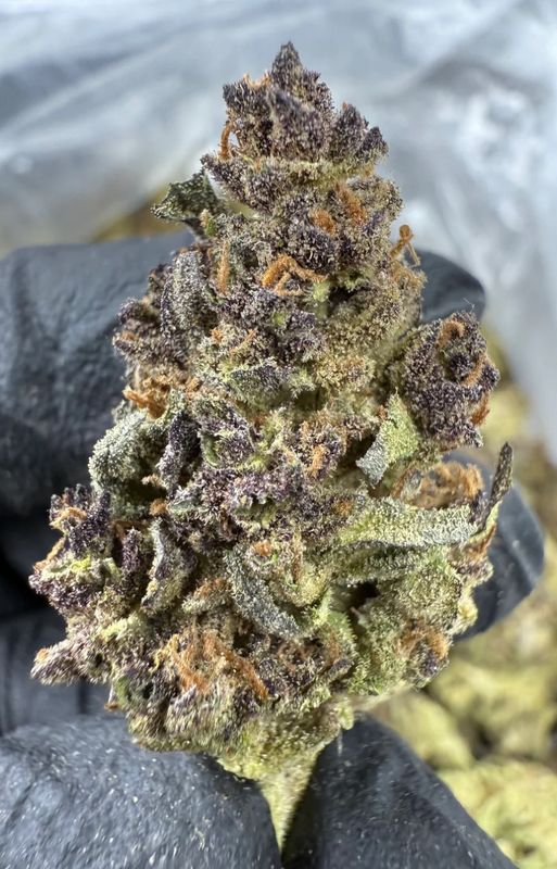 Tropicana Cherry
