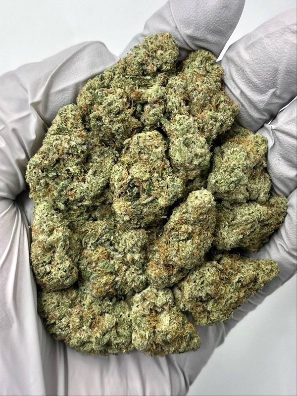 Jealousy x Kush Mintz