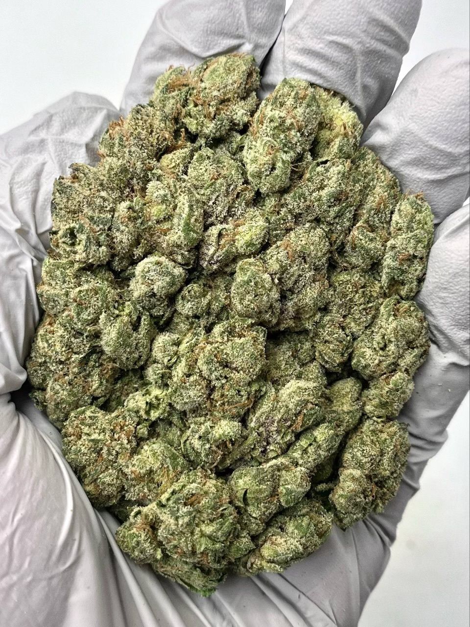 Bubblegum Runtz