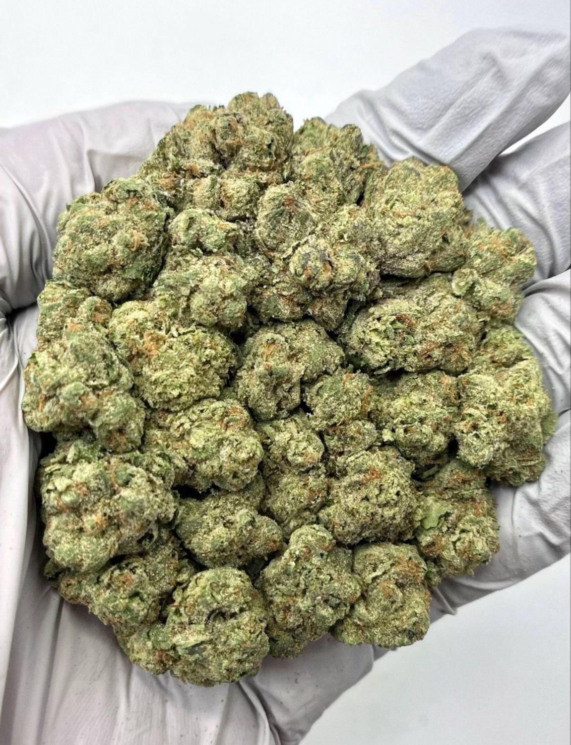 Candy Jack