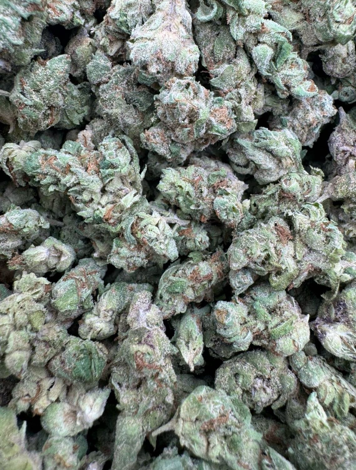 Apple Fritter Smalls