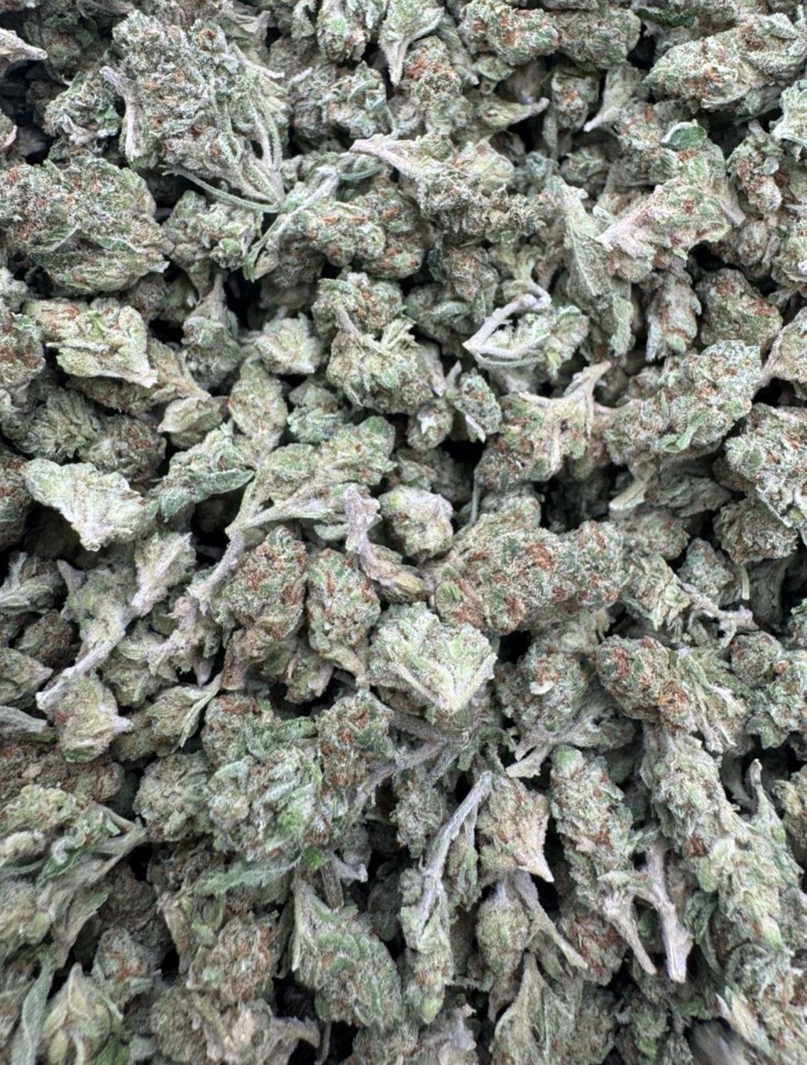 Lemon Drop Smalls