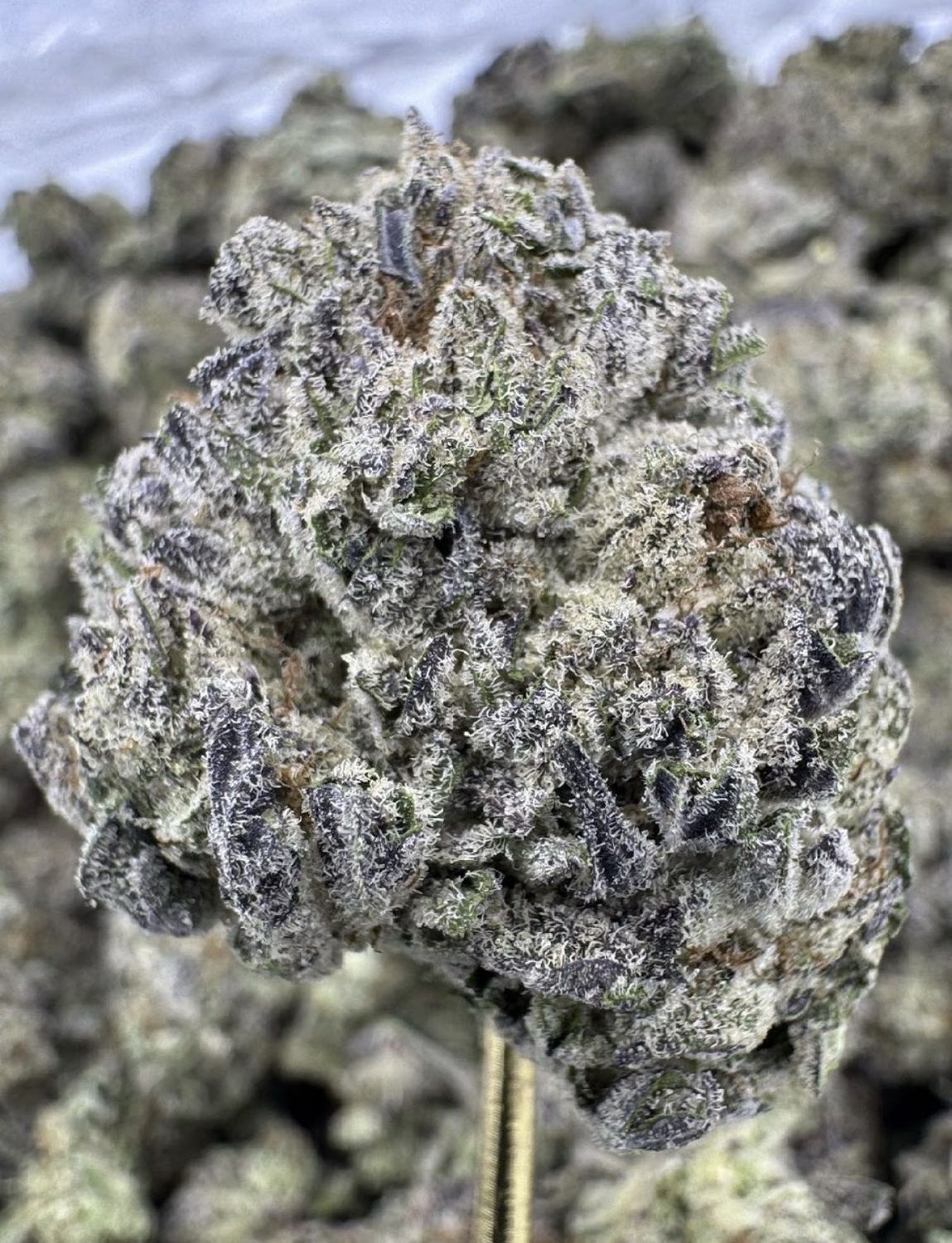 Double Stuffed Oreoz